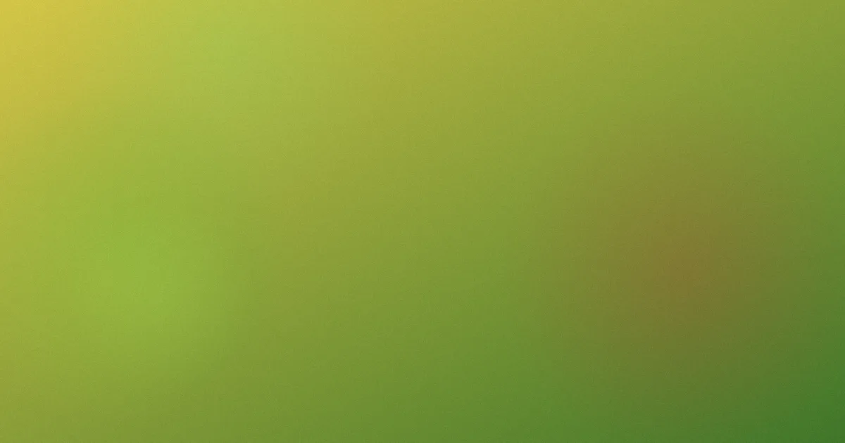 黑岩射手测评：避坑版